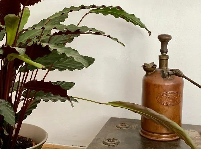Monteverdi L'arancio Bed & Breakfast